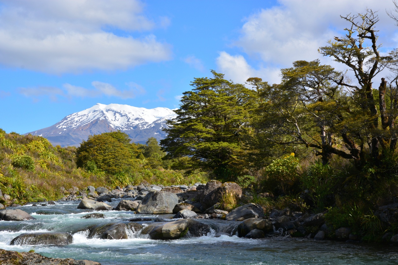 Rivers in New Zealand