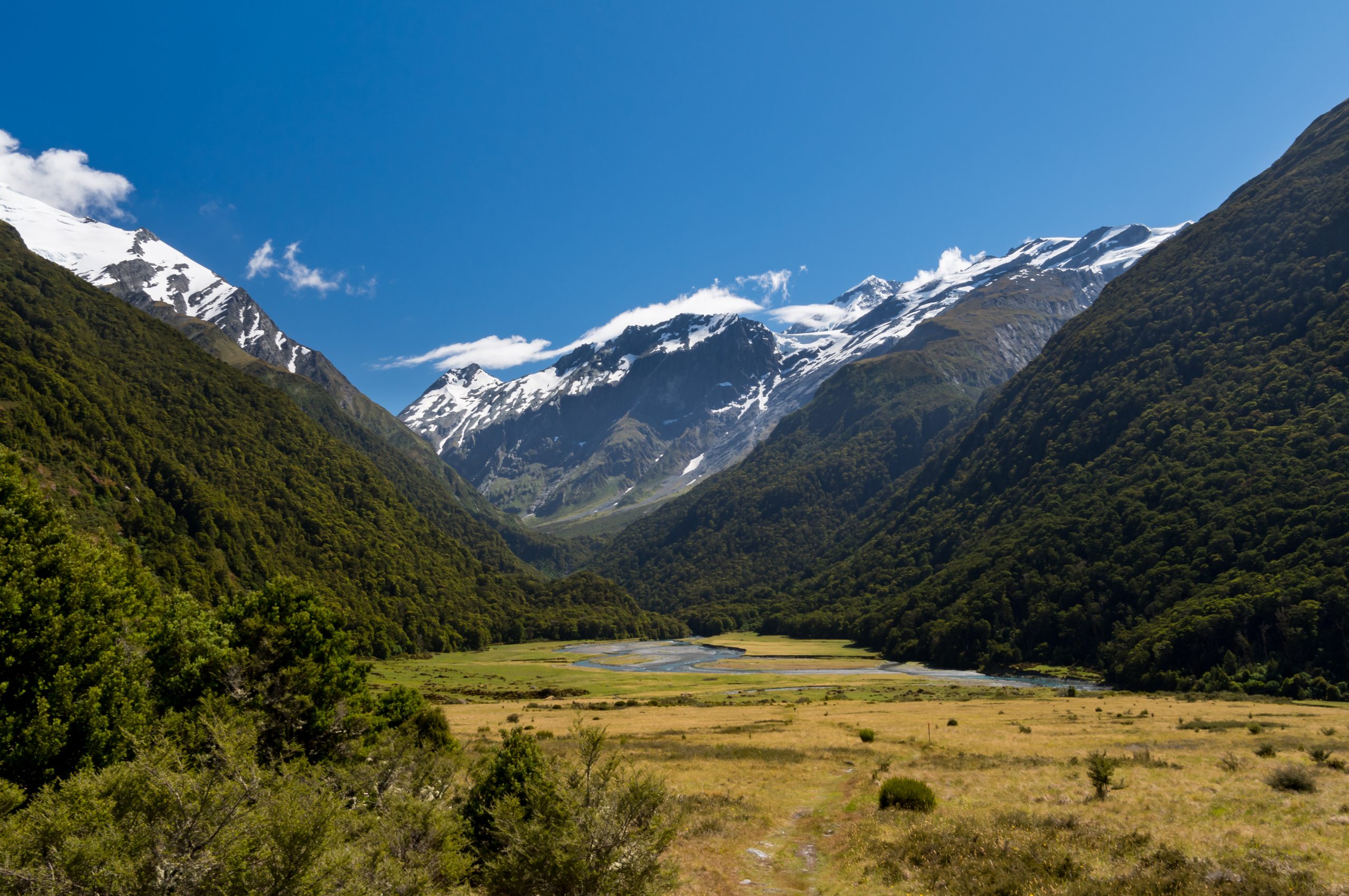 Matukituki,Valley Mount,Aspiring,National,Park, New,Zealand