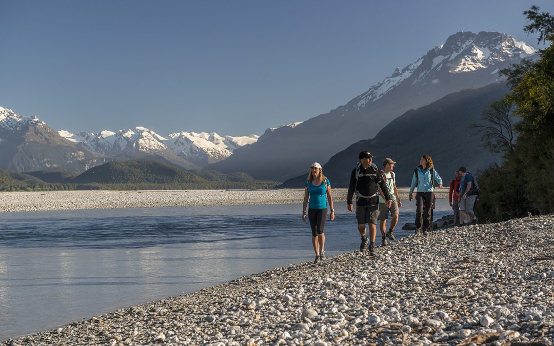 ALL NEW South Island Adventure
