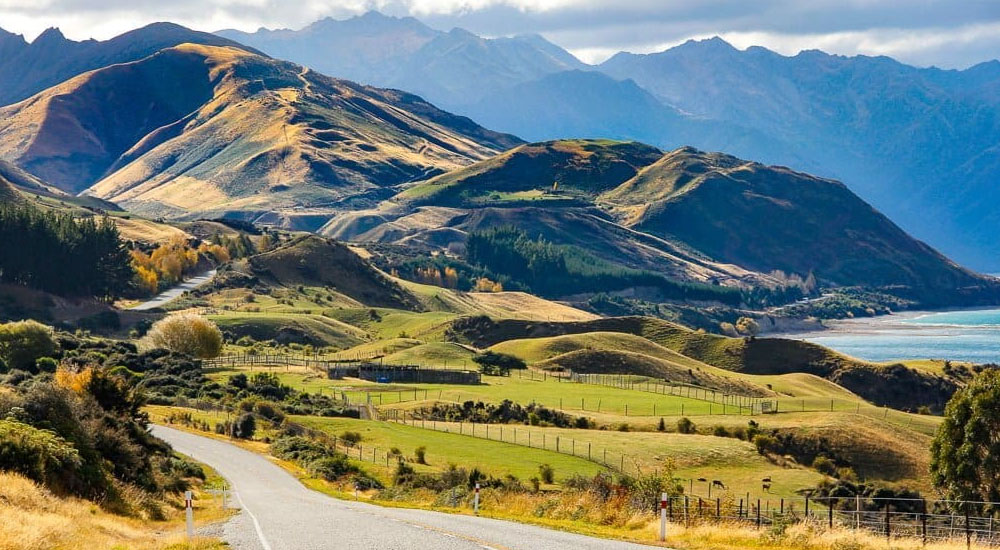 The 5 Best Scenic Road Trips in New Zealand